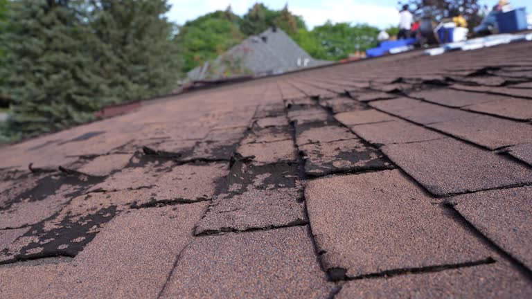 Best Storm Damage Roof Repair  in Claymont, DE